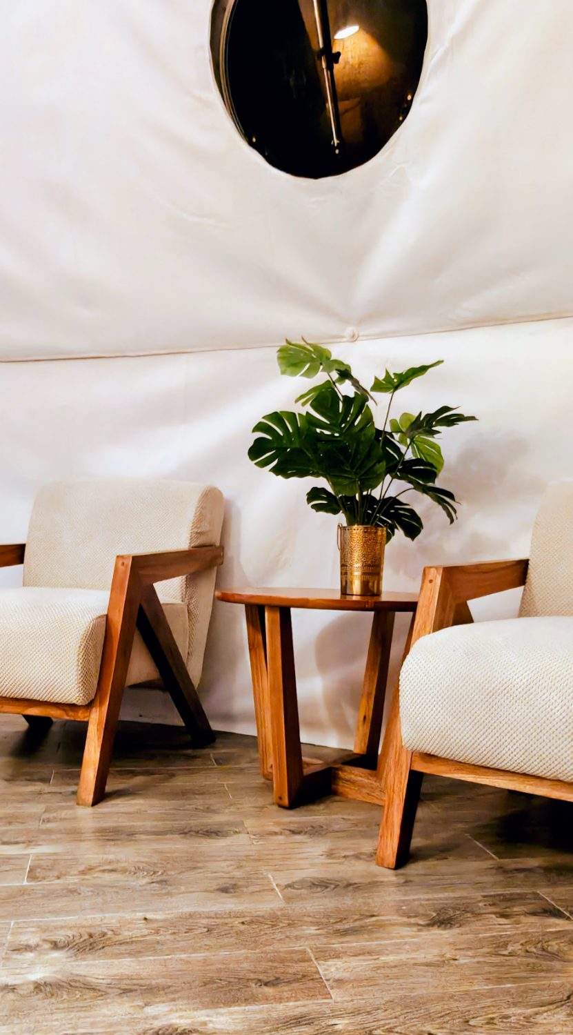 Lounge chairs and brass-potted monstera inside a dome